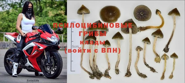 дмт Беломорск