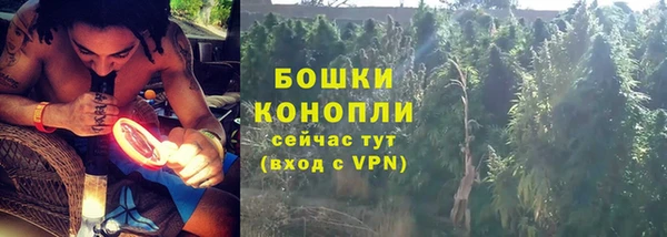 стафф Ладушкин