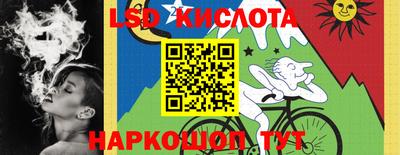 дживик Аша