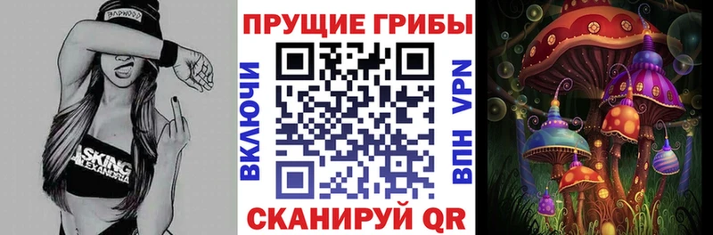 нарко площадка клад  Видное  Псилоцибиновые грибы Psilocybe  ОМГ ОМГ рабочий сайт 